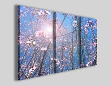 Quadri fiori art usato  Pontecagnano Faiano