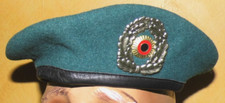 custom helm gebraucht kaufen custom helm gebraucht kaufen Deutschland