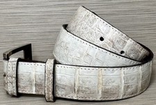 Size crocodile alligator for sale  Egg Harbor Township