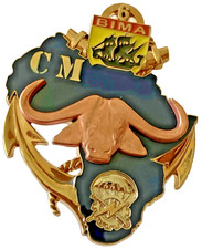 Ins. mil. tdm d'occasion  Thiaucourt-Regniéville