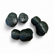 Tartufo addestramento cane usato Tartufo addestramento cane usato  Latina