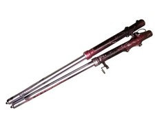 Coppia forcelle forks usato  Italia