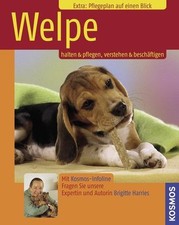 Welpe pflegen verstehen gebraucht kaufen  München