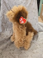 Classic brown dog for sale  Morrison