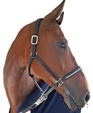 eskadron halfter vb cob gebraucht kaufen eskadron halfter vb cob gebraucht kaufen Heinsberg