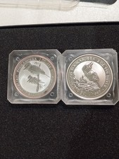 Australia once dollari usato  Italia