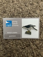 goshawk for sale goshawk for sale BIGGLESWADE