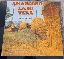 Disco giri amarcord usato Disco giri amarcord usato  Valdilana