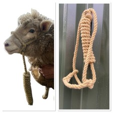 Sheep horse rope for sale  USK