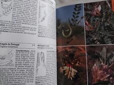 Guide flore mediterraneenne d'occasion  Dourges