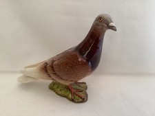 Beswick brown pigeon for sale  MELTON MOWBRAY