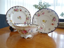 Rare cauldon pottery for sale  PETERLEE