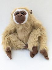 Gibbon monkey dowman for sale  BEDFORD