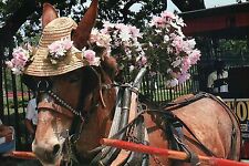 Horse hat carriage for sale  Chesapeake