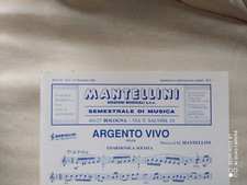 Gianni mantellini argento usato  Chivasso