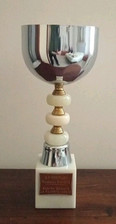 Coppa trofeo premio usato  Ferrara
