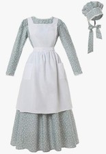 Rolecos pioneer costume for sale  Goodyear