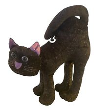 Black purple cat for sale  Fort Mill