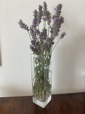 Clear tall rectangle for sale  FAREHAM