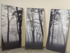 Canvas fog set for sale  EXETER
