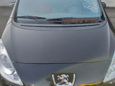 Peugeot 1007 riginal gebraucht kaufen  Chemnitz
