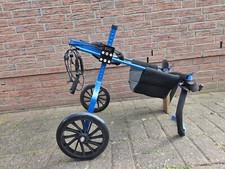 Verstellbarer rad hunderollstu gebraucht kaufen  Rehburg-Loccum
