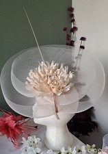 Large ivory fascinator for sale  SWINDON