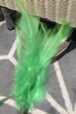 Emerald green feather for sale  HONITON