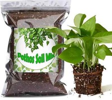 Organic pothos soil for sale  Richmond