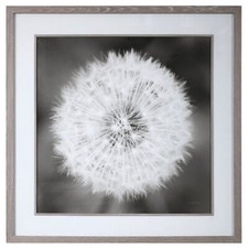 Oversize black white for sale  USA