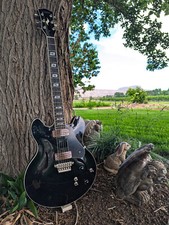 Vox virage semi for sale  Palisade