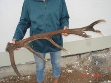Abwurfstange 6kg enden gebraucht kaufen  Sonneberg