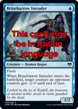 Mtg brinebarrow intruder usato  Bari