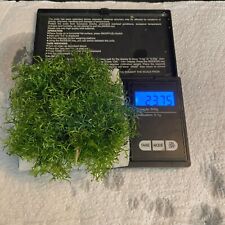 Riccia guppy grass for sale  SOUTH CROYDON