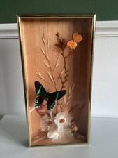 Papillon naturalisé encadré d'occasion  France