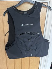 Montane gecko running for sale  SUDBURY