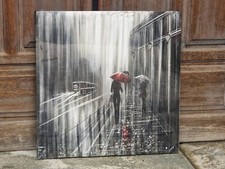 Pioggia parigi quadro usato  Villanova Mondovi