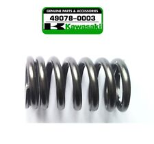 Kawasaki kxf 250 usato  Bellinzago Novarese