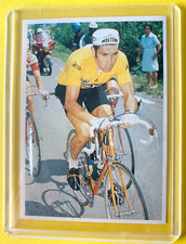 Cyclisme eddy merckx d'occasion  Tours-