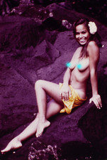 1970s hawaii polynesian for sale  Aiea