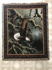 American bald eagle for sale  Tomahawk