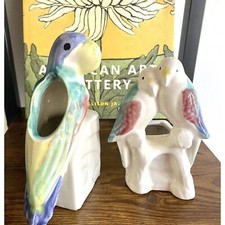 Parrot bird succulent for sale  Wilmington
