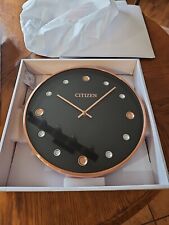 Nib citizen gallery for sale  Horicon