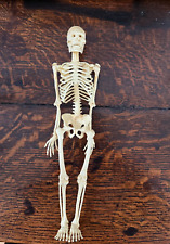 Vintage model skeleton for sale  SOUTHSEA