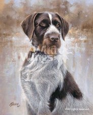 James killen dog for sale  Milwaukee