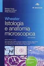 Wheater istologia anatomia usato  Busto Arsizio