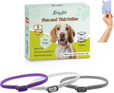 Collare antipulci cani usato  Roma