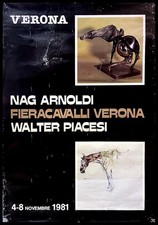 nag arnoldi usato nag arnoldi usato Italia