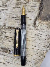 Pelikan style m200 gebraucht kaufen  Apolda