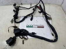Impianto elettrico yamaha usato  Gambettola